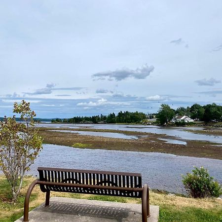 Riverview Suites Clarenville Kültér fotó