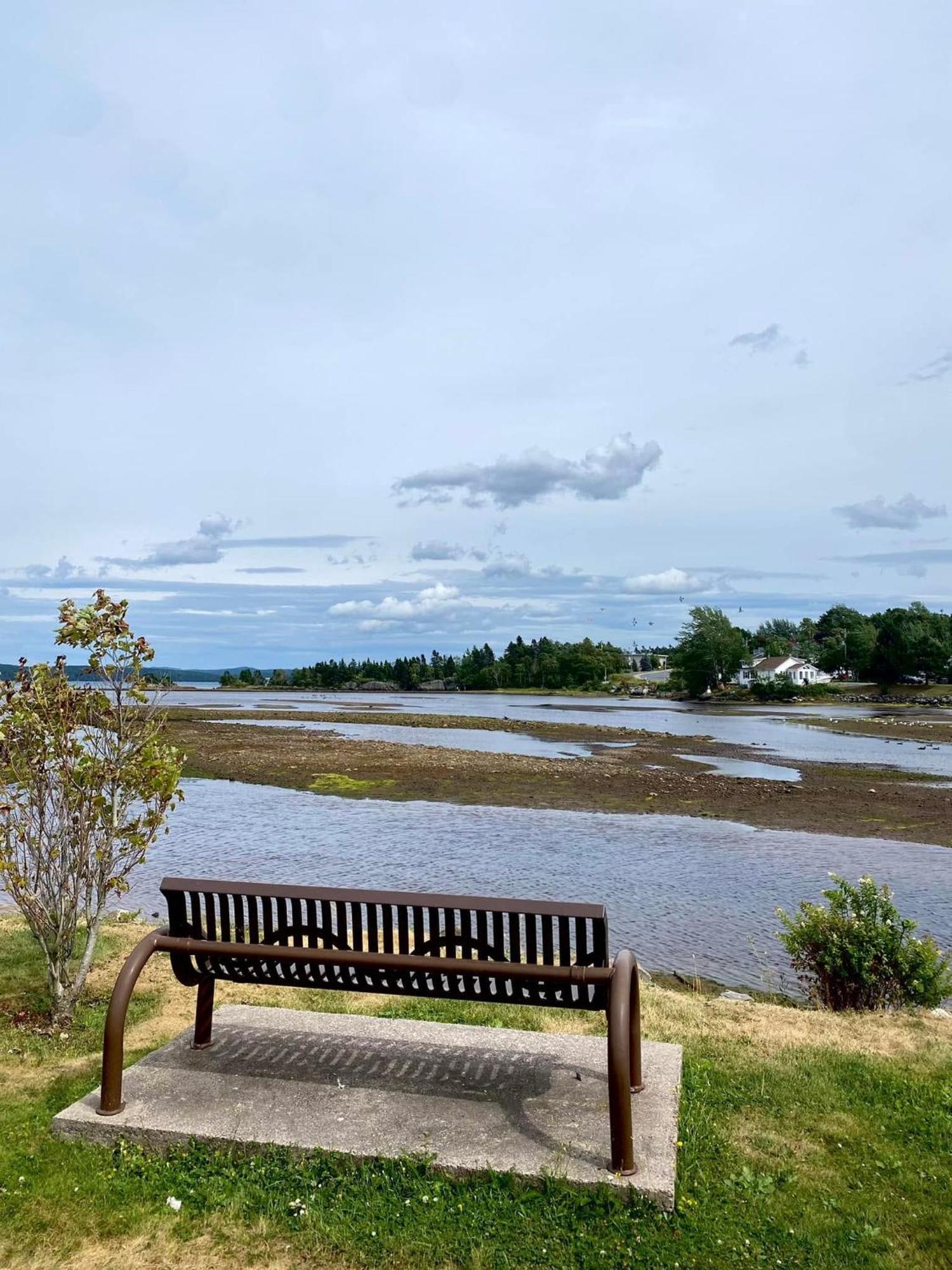 Riverview Suites Clarenville Kültér fotó